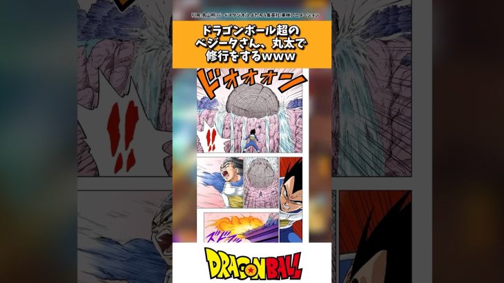 ドラゴンボール超のベジータさん、丸太で修行してしまうw w w