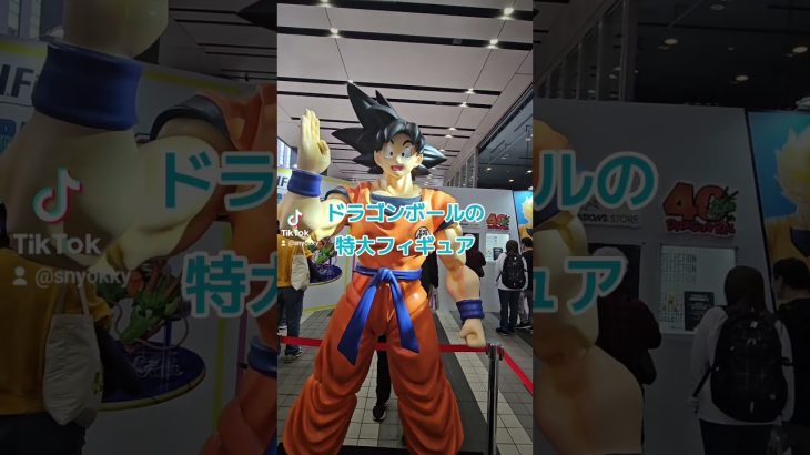 ドラゴンボールの特大フィギュア#鳥山明 #ドラゴンボール #ドラゴンボール超 #孫悟空 #アニメ #DRAGONBALL