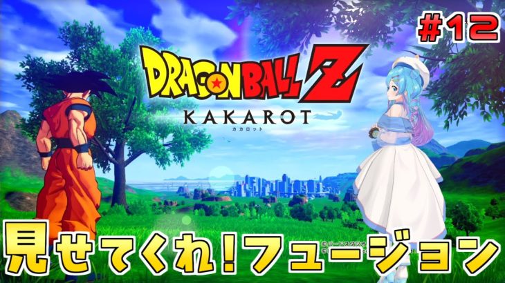 人生初の【ドラゴンボール Z KAKAROT】Switch版を実況プレイ！#12