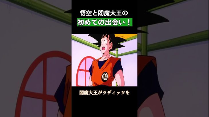 悟空と閻魔大王の初めての出会い！ #ドラゴンボール  #dragonball