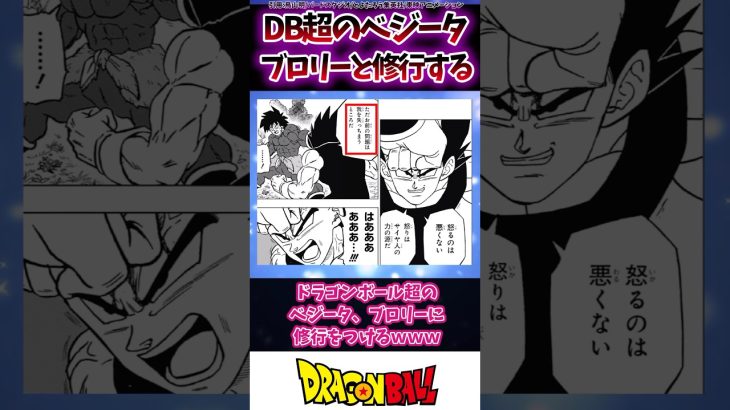 ドラゴンボール超のベジータ、ブロリーに修行をつける