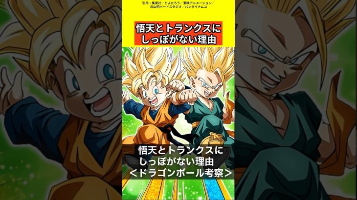 【ドラゴンボール考察】悟天とトランクスにしっぽがない理由