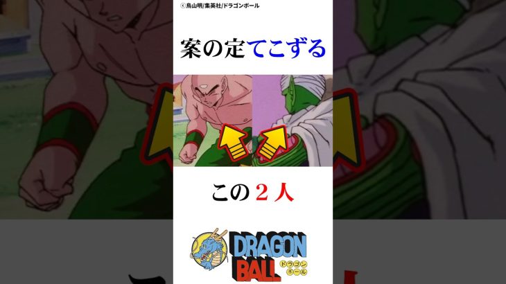 修業に苦戦する真面目な男たち#ドラゴンボール