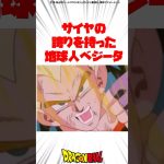 サイヤの誇りを持った地球人ベジータ #ドラゴンボール