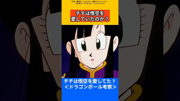 【ドラゴンボール考察】チチは悟空を愛していたのか？