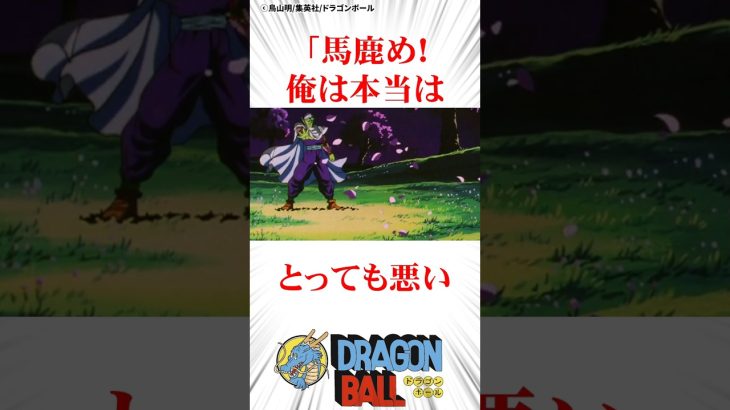 天国で暴れるピッコロ#ドラゴンボール