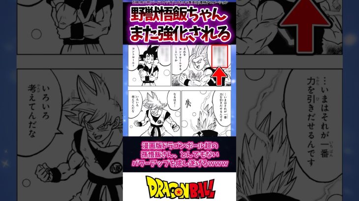 漫画版ドラゴンボール超の孫悟飯さん、とんでもないパワーアップを成し遂げるw w w