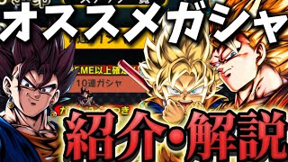 フェス4キャラの中で誰を優先して引くべきなのか紹介します【ドラゴンボールレジェンズ】【DRAGON BALL　legends】