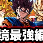 【誰でも勝てます】現環境の最強編成を使ってみた【ドラゴンボールレジェンズ】【DRAGONBALL LEGENDS】【ゲーム実況】