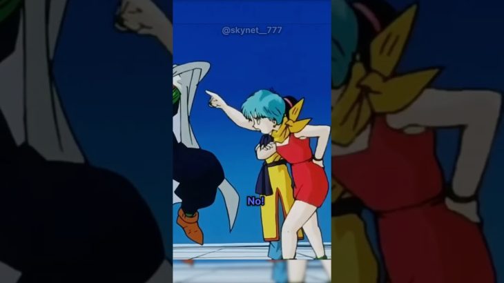 EVEN PICCOLO AFRAID OF BULMA AND CHI CHI