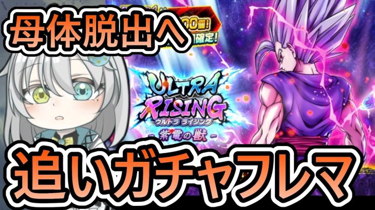 【 負ける度に追いガチャ 】やっぱりビーストは凸欲しいよね【 ドラゴンボールレジェンズ　ドッカンバトル　ドラゴンボール 　VTuber  】