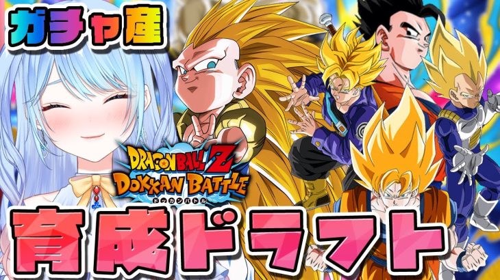 【ドラゴンボールZ ドッカンバトル】育成と整頓！&雑談 初見歓迎! ⚠情緒注意 DBZ #ドラゴンボール