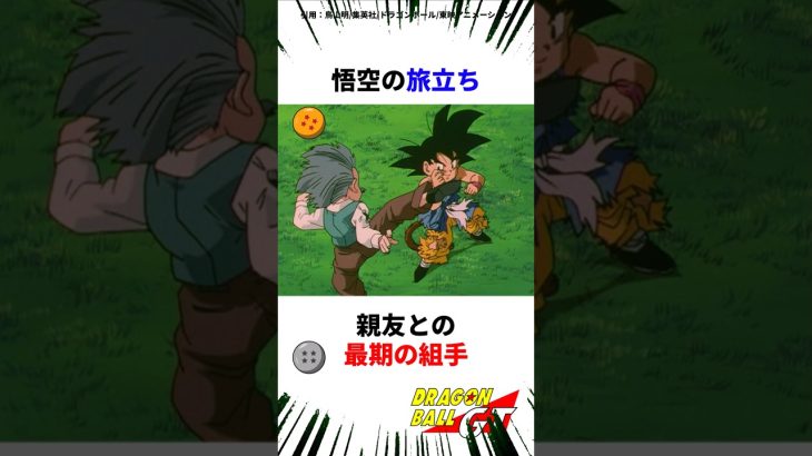 感動ストーリー！親友との最期の組手 #ドラゴンボール #アニメ #dragonball