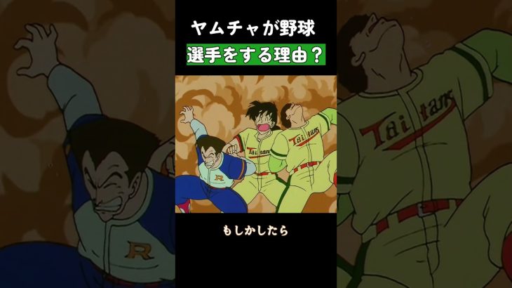 ヤムチャが野球選手をする理由？ #ドラゴンボール  #dragonball