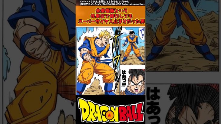 【ドラゴンボール】未来悟飯という年単位で修行してもスーパーサイヤ人止まりだった男 #ドラゴンボール #反応集