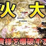 レイダーの花火大会【ドラゴンボール ザ ブレイカーズ】