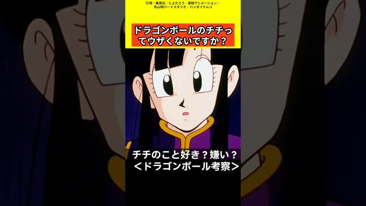 【ドラゴンボール考察】チチのこと好き？嫌い？