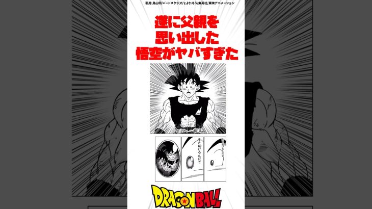 遂に父親を思い出した悟空がヤバすぎた #ドラゴンボール