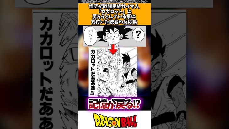 悟空が戦闘民族「カカロット」に戻ろうとしていることに気付いた読者の反応集