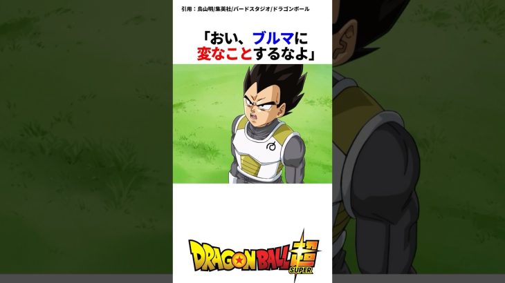 ブルマを心配するベジータ #ドラゴンボール #ドラゴンボール超 #ベジータ