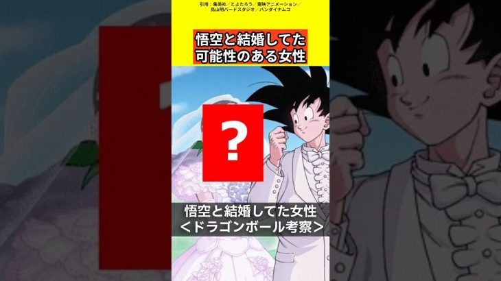 【ドラゴンボール考察】悟空と結婚してた可能性のある女性