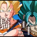 【10周年記念ベジットMAD】ドラゴンボールZドッカンバトル×一騎当千