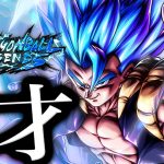 遂に実装から2年以上経過したパイゴジブルセン【ドラゴンボールレジェンズ】【DRAGONBALL LEGENDS】【ゲーム実況】