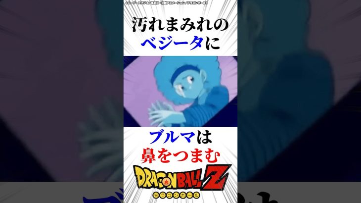 汚れのひどいベジータに風呂に入れと催促するブルマ　#ドラゴンボール