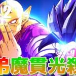 『ドラゴンボール超』【スーパーヒーローIF】師弟の絆！放てピッコロ＆悟飯ビーストの魔貫光殺砲