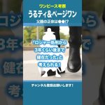 【ワンピース考察】うるティ＆ページワンの父親に関する時系列の整理／カイドウVSモリア