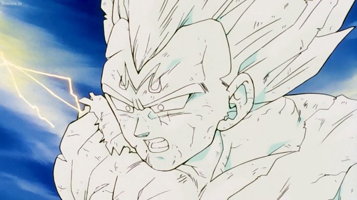 ベジータの犠牲：ブウとの最後の戦いで石に変わる, Vegeta’s Sacrifice: Turning to Stone in His Final Battle with Buu