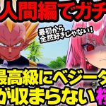 【ドラゴンボール切り抜き】ベジータ特集④ 人造人間編でベジータにガチ切れする桜ノ宮レイ【ドラゴンボールZカカロット/切り抜き/Vtuber】