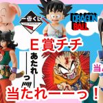 一番くじ ドラゴンボール 孫悟空修行編 どうしてもチチが欲しい成人男性