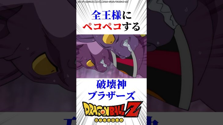 全王様にペコペコする破壊神ブラザーズ　#ドラゴンボール 超