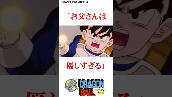 息子悟飯の熱意に向き合う父悟空#ドラゴンボール