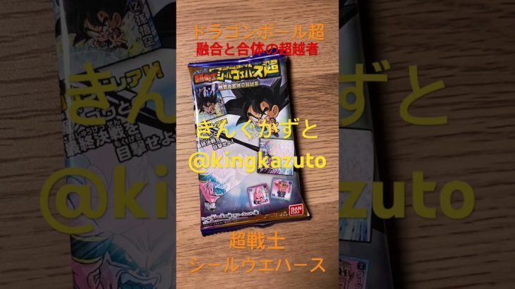 ドラゴンボール超超戦士シールウエハース融合と合体の超越者シークレットシール　きんぐかずと　@kingkazuto  #dragonball ドラゴンボールダイマ　ドラゴンボールグッズ