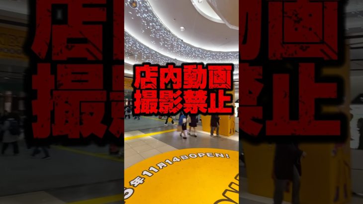 【撮影禁止!?】東京駅の世界初ドラゴンボールストアに行って激写してきた!ここでしか手に入らないかみくっず神グッズしようかい紹介!#shorts #ドラゴンボール #ドラゴンボールゲキシンスクアドラょ