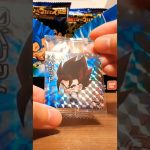 ベジット降臨☆【ドラゴンボール】超戦士シールウエハース超【融合と合体の超越者】