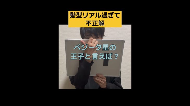 #孫悟飯 #ネタ #アニメ #フリップ #ドラゴンボール