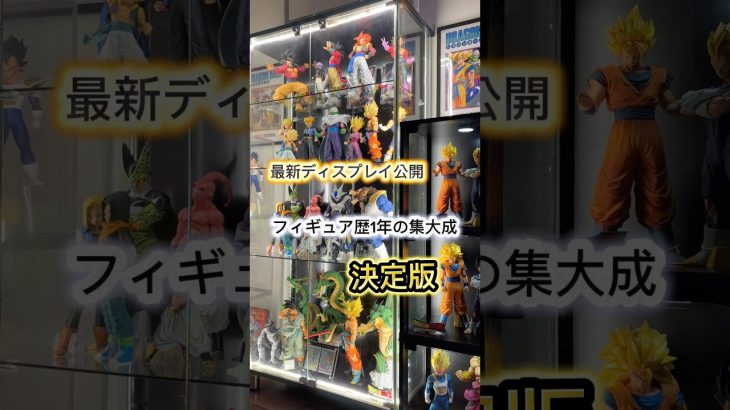 フィギュア歴1年の集大成　決定版　厳選したドラゴンボールディスプレイ公開　コレクション部屋無し　一番くじ　40th 40周年　フュージョンワールド　スーパーダイバーズ　相場　神龍　ワンピース　ナルト