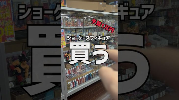 予算1万円でショーケースフィギュアを買う！　#dragonball  #ドラゴンボール  #shorts  #short  #フィギュア　#一番くじ