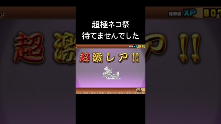 【2026年超極ネコ祭】　待てません、当たった❗️嬉しい❗️強いのかな、、