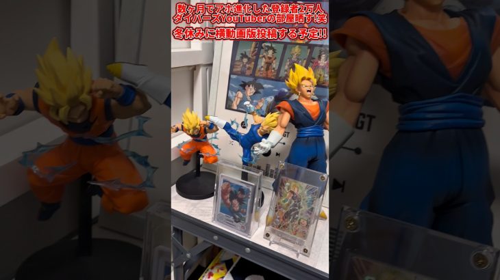 【ドラゴンボールスーパーダイバーズ】数ヶ月でアホ進化した登録者2万人ダイバーズYouTuberの部屋晒す！！笑