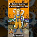 Budokai’s Exclusive Future Gohan Forms Explained!!