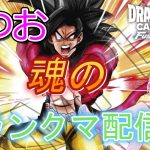 【DBFW】実は悟空GT専業【ドラゴンボールフュージョンワールド】