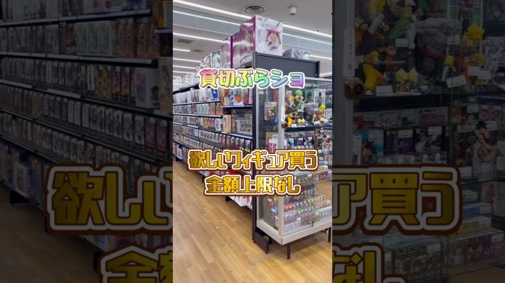 初潜入!欲しかったあのフィギュア達GET!これだからぶらショやめられない! #ドラゴンボールフィギュア #ドラゴンボール #一番くじ #フィギュア