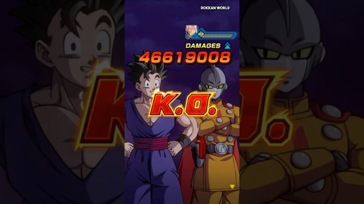Gamma 1 + Ultimate Gohan K.O. Screen