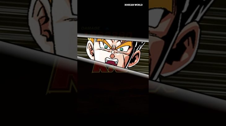 INT LR Future Gohan/Trunks Revive