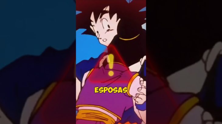 Las Esposas De Dragon Ball Son Las Mas Fieles #anime #dbz #dbs