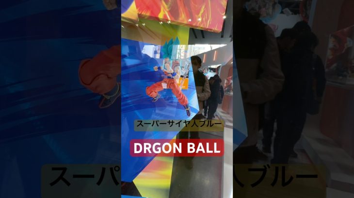 スーパーサイヤ人ブルー✨フィギュアーツ最新フィギュア✨ドラゴンボール超✨TAMASHII NATION2025